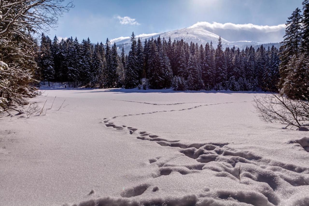 Chata Nella - Jasná Demänovská Dolina Esterno foto